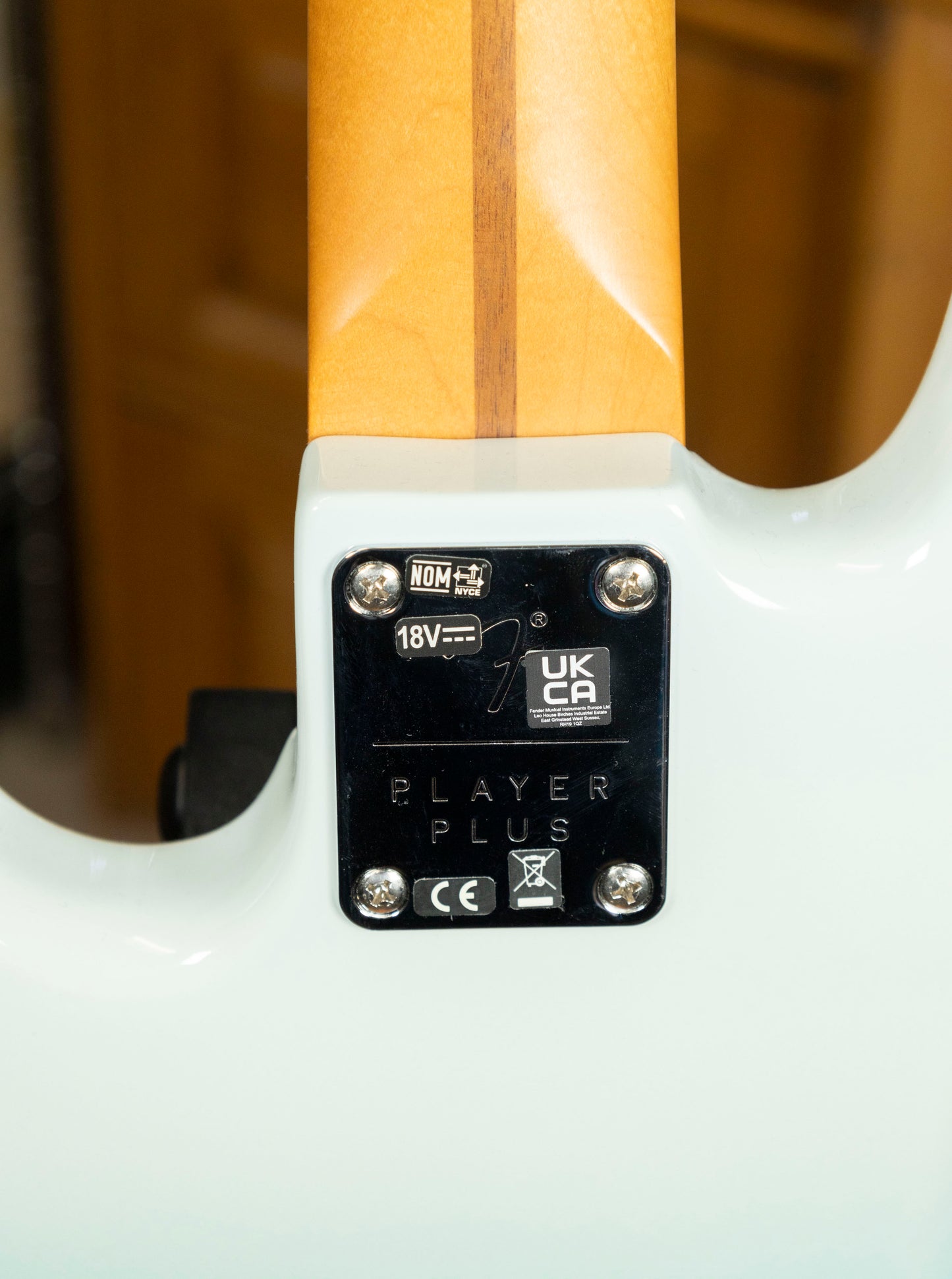 2021-Present Fender Player Plus with Pau Ferro Fretboard- Belair Blue