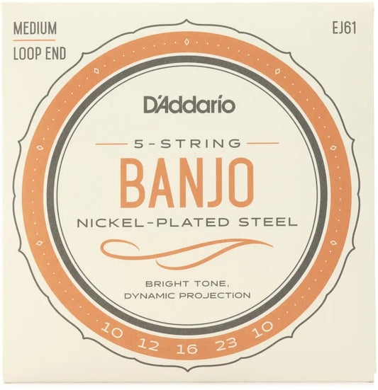 D'Addario Loop End 10-10 5 String Banjo Strings EJ61