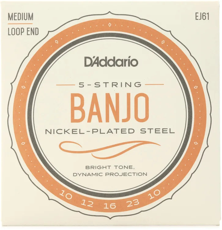 D'Addario 10-10 Loop End 5 String Banjo Strings EJ60